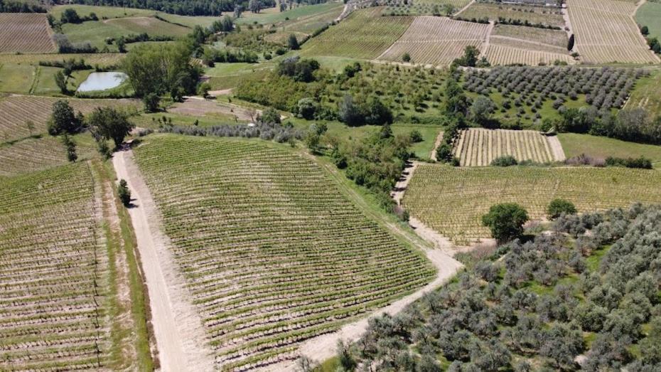 Apartamento Poggio Al Sole Montespertoli Exterior foto